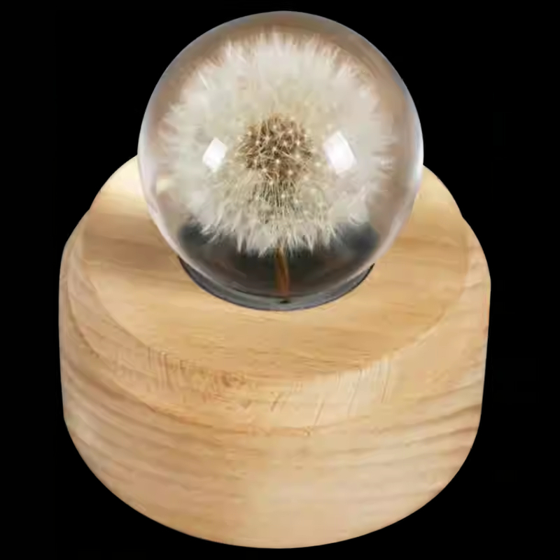 Dandelion Crystal Ball (5) Dandelion Crystal Ball (5)