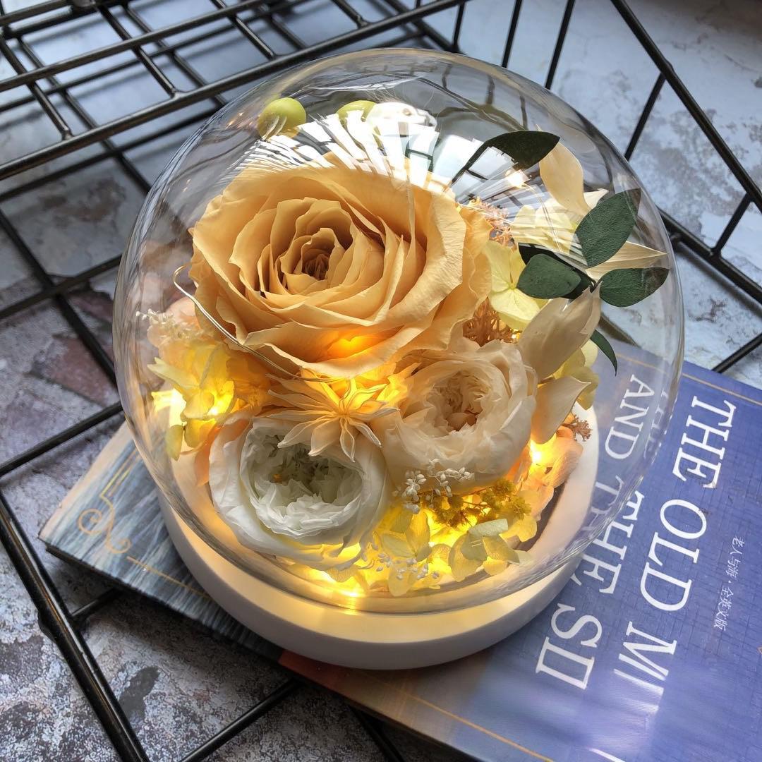 Preserved Flower Glass Cover Flower Box (4) Preserved Flower Glass Cover Flower Box (4)