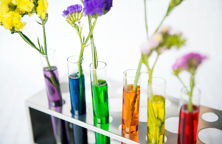 Immersing-in-Preservation-Elixir
