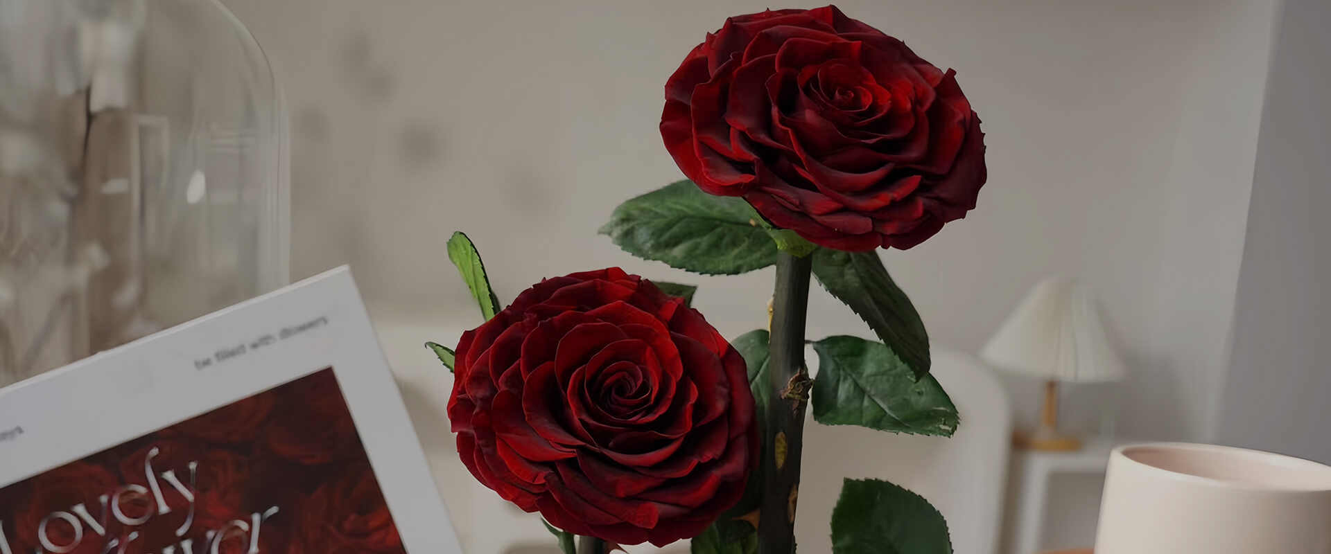Forever Rose