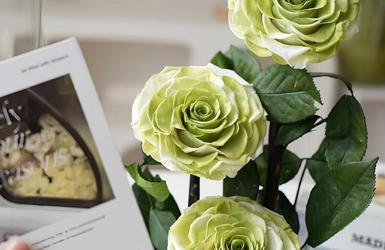 Advantages-of-Preserved-Flowers-Compared-to-Traditional-Blooms