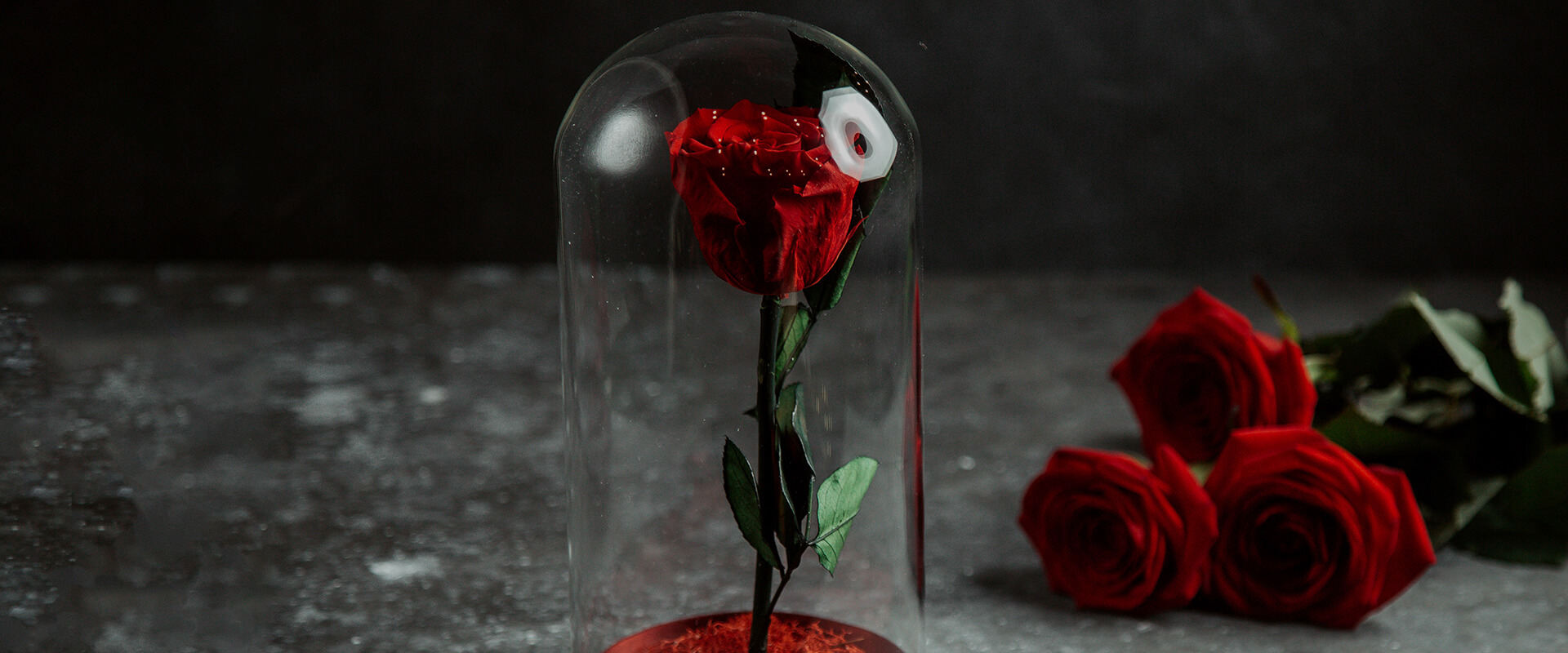 Forever Rose
