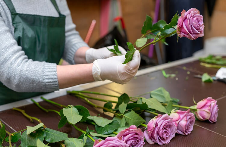 Delicate-Drying-Procedures