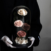 4 Roses Preserved Flower Glass Cover Flower Box
