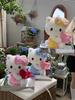 Holding A Heart-shaped Hello Kitty Preserved Flower