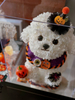 Halloween Eternal Flower Bichon Puppy Doll Gift Box Home Decor Gift for Best Friends And Girlfriends Birthday Gifts