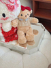 Hello Kitty and Doll Hydrangea Preserved Flowers