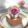 Carnation Eternal Flower Specimen Crystal Ball Music Box Night Light Music Box Bluetooth Speaker
