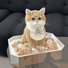 Cat And Dog Shaped Preserved Flower