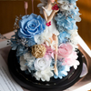Angel Doll Rose Preserved Flower