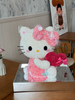 Holding A Heart-shaped Hello Kitty Preserved Flower