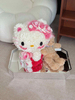 Hello Kitty and Doll Hydrangea Preserved Flowers