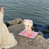 Mermaid Hello Kitty Preserved Flower