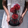 Glass Cover Three Roses Preserved Flower