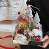 Christmas Snow House Acrylic Preserved Flower