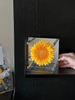 Single Sunflower Small Square Box Preserved Flower