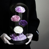 4 Roses Preserved Flower Glass Cover Flower Box