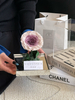 Exquisite Single Rose Acrylic Eternal Flower Box