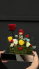 Little Prince Little Wild Rose Everlasting Flower Gift Box
