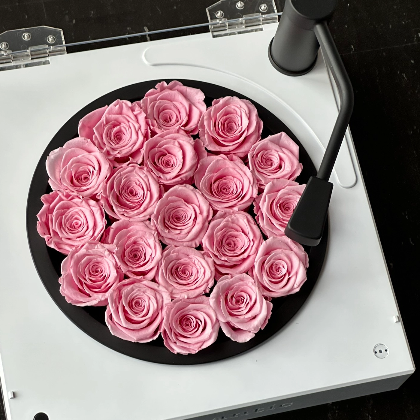 When The Gramophone Meets Preserved Flowers: The Perfect Fusion of Eternal Art And Modern Technology
