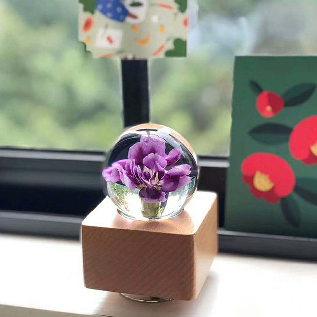 Carnation Eternal Flower Specimen Crystal Ball Music Box Night Light Music Box Bluetooth Speaker