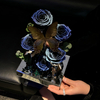 Butterfly Rose Landscape Preserved Flower