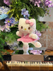 Valentine's Day Pink Dance Ballet Hello Kitty Forever Flower Gift Box