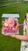 Labubu Doll Acrylic Garden Preserved Flower Gift Box