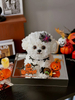Halloween Style Marzis Immortal Flower Gift Box Compared To Bear Puppy Ornament Birthday Gift for Girlfriend