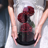 Glass Cover Three Roses Preserved Flower