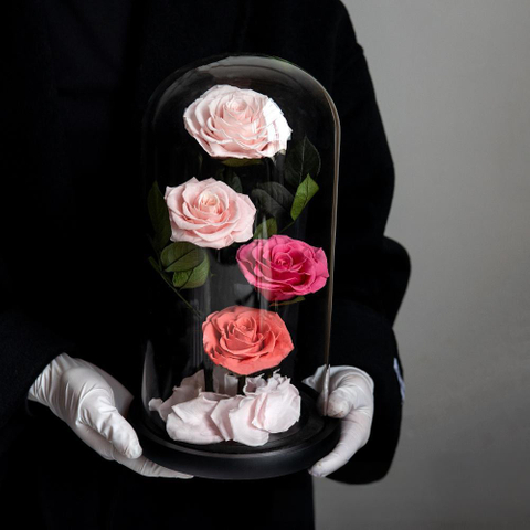 4 Roses Preserved Flower Glass Cover Flower Box