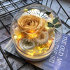 Crystal Ball Rose Preserved Flower with Exquisite Gift Box