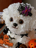 Halloween Style Marzis Immortal Flower Gift Box Compared To Bear Puppy Ornament Birthday Gift for Girlfriend