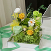 Green Acrylic Vegetation Shape Preserved Flower