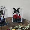 Butterfly Rose Small Square Box Preserved Flower