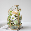 Geometric Hexagonal Cut Metal Glass Rose Preserved Flower Flower Box