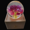 Carnation Eternal Flower Specimen Crystal Ball Music Box Night Light Music Box Bluetooth Speaker