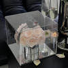 Acrylic Box Rose Hug Bucket Preserved Flowers