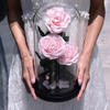 Glass Cover Three Roses Preserved Flower