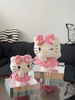 Pink Ballet Skirt Hello Kitty Forever Flower Confession Gift Box