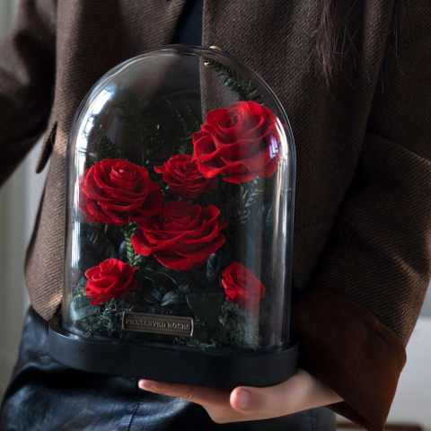 Rose Glass Cover Preserved Flower Ornament