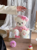 Pink beret bear preserved flower