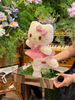 Valentine's Day Pink Dance Ballet Hello Kitty Forever Flower Gift Box