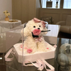 Rose Puppy Hydrangea Macrophylla Preserved Flower Teddy Doll