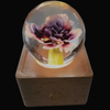 Carnation Eternal Flower Specimen Crystal Ball Music Box Night Light Music Box Bluetooth Speaker