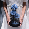 Glass Cover Three Roses Preserved Flower