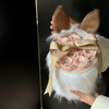 Plush Ear Rose Hug Bucket Preserved Flower