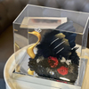 Swan Shape Acrylic Rose Preserved Flower
