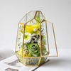 Geometric Hexagonal Cut Metal Glass Rose Preserved Flower Flower Box