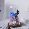 Glass Cover Preserved Flower Gift Box